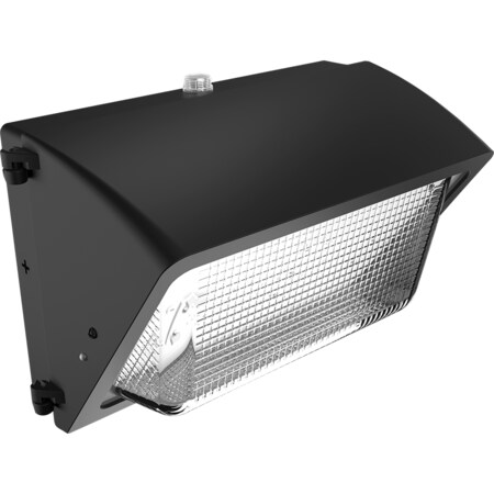 Rab WP2 4900LM 34W 70CRI 5000K 120-277V 0-10V DIM PCU BZ WP2LED49L-750U/PCU